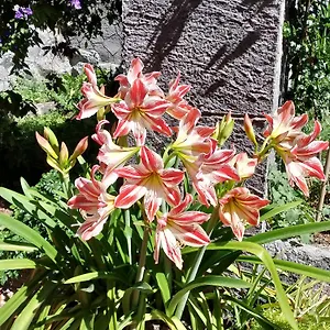  Hébergement de vacances Casa Romeo Italie